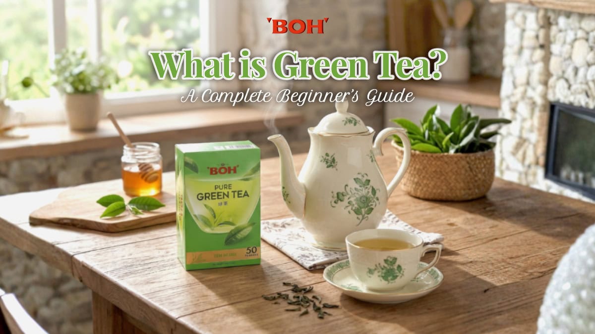 what is green tea: a complete beginner's guide