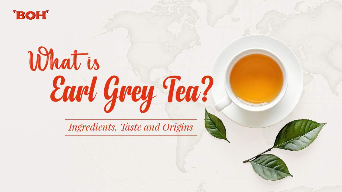 What Is Earl Grey Tea Ingredients Taste and Origins